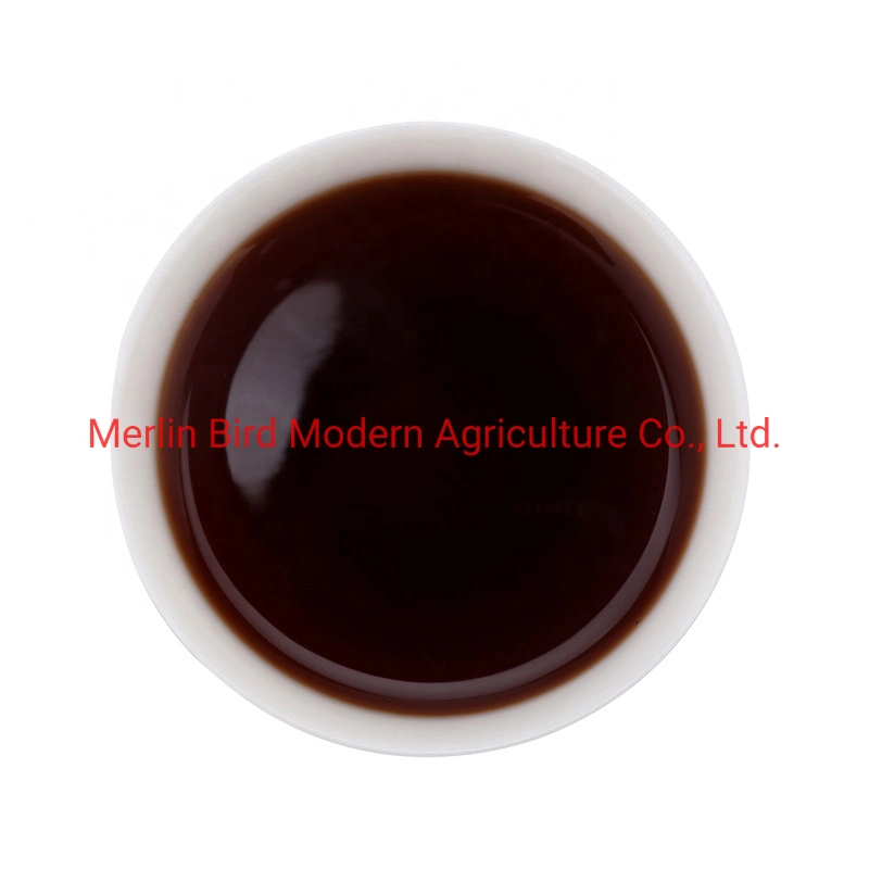 5 Years Aged Loose Leaf 100% Natural Organic Ripe Pu&prime;erh Tea